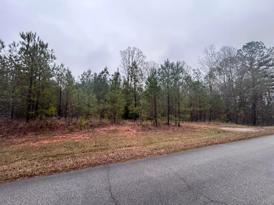 1956 Pineywoods Road, Lincolnton, GA 30817 - Image #3