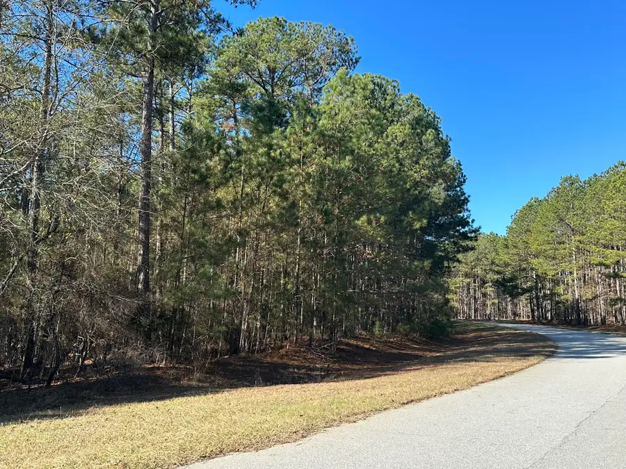 1252 Rogers Road, Tignall, GA 30668 - Image #3