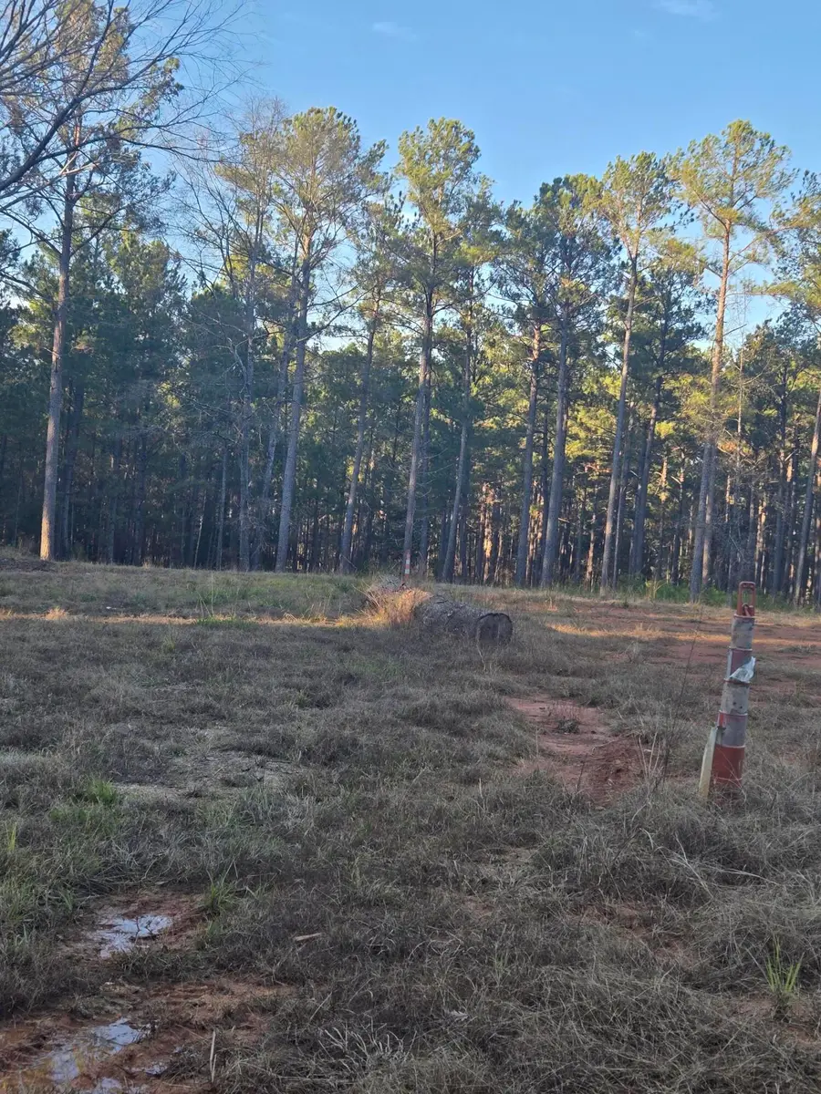 0 Pineridge Drive, Lincolnton, GA 30817 - Image #3