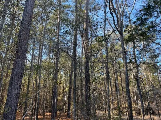 3015 Timber Woods Drive, Appling, GA 30802 - Image #2