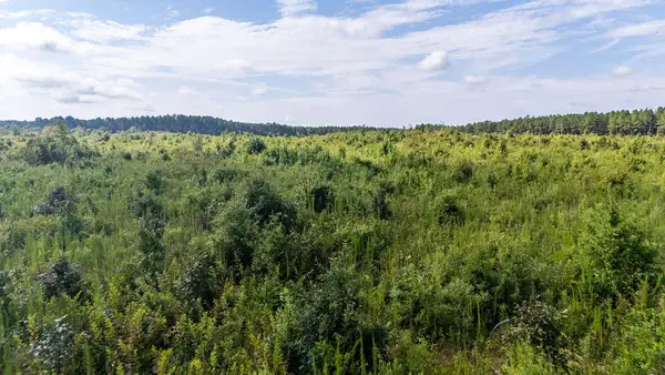 20ac Ouzts Road, Edgefield, SC 29824