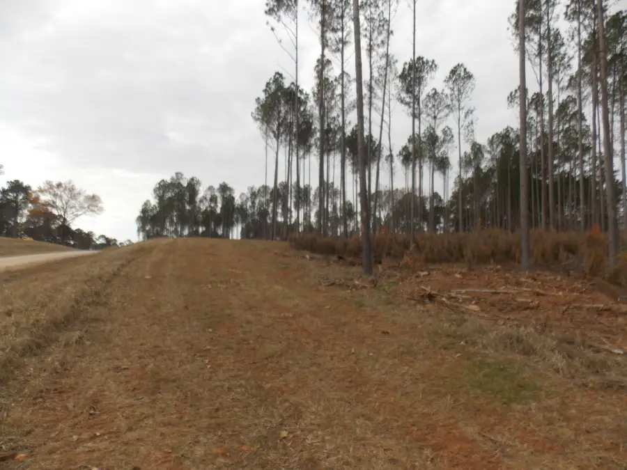 2 E Mosley Road, Lincolnton, GA 30817 - Image #2