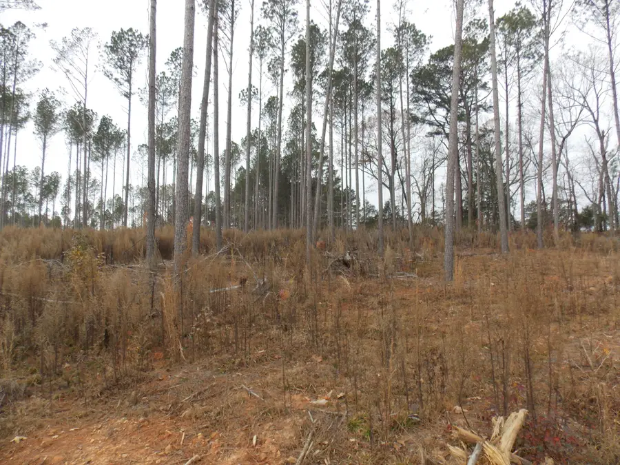 2 E Mosley Road, Lincolnton, GA 30817 - Image #3