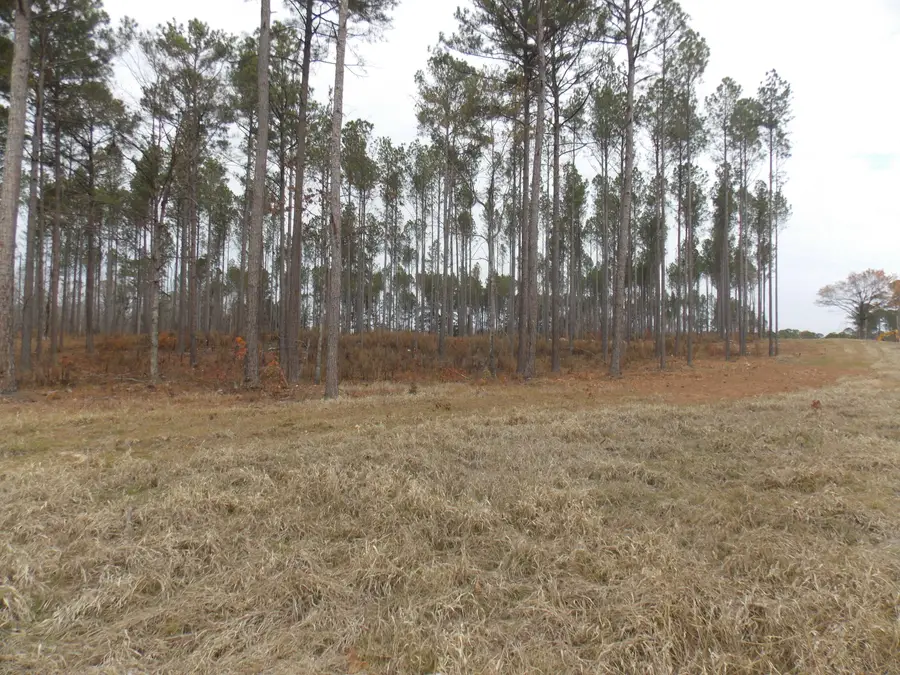 3 E Mosley Road, Lincolnton, GA 30817 - Image #2