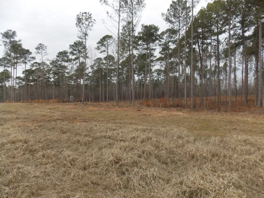 3 E Mosley Road, Lincolnton, GA 30817 - Image #3