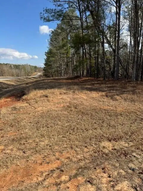 101 Antlers Trail, Hephzibah, GA 30815 - Image #1