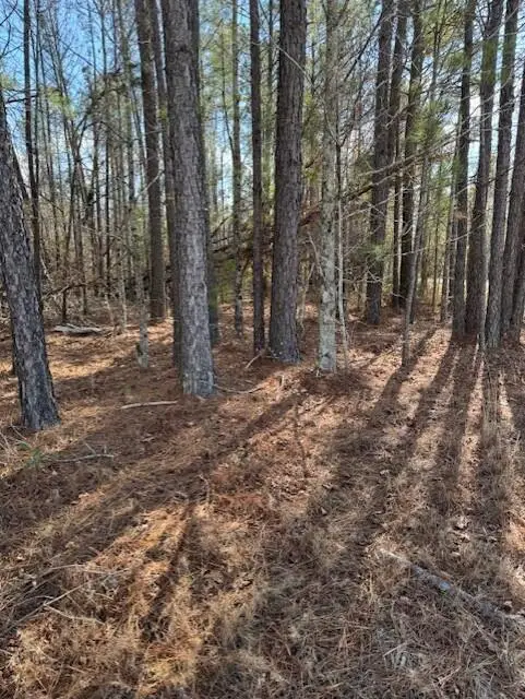 101 Antlers Trail, Hephzibah, GA 30815 - Image #3