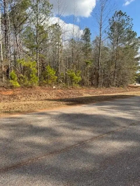 103 Antlers Trail, Hephzibah, GA 30815 - Image #3