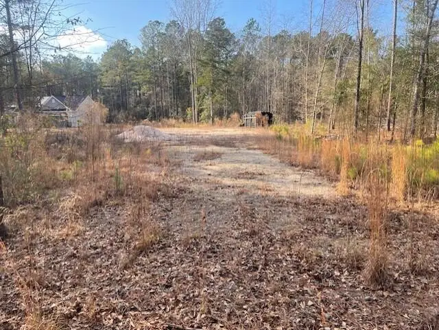 Lot 32 Stapleton Acres Drive, Stapleton, GA 30823 - Image #1