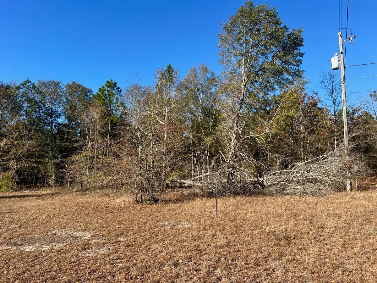 0 Golden Eagle Lane, Hephzibah, GA 30815 - Image #1