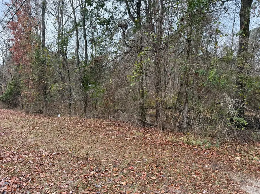 707 Meadow Hill Drive, Grovetown, GA 30813 - Image #2