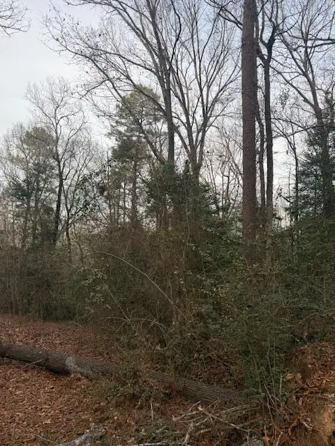 2005 Mcdade Farm Road, Hephzibah, GA 30815 - Image #2