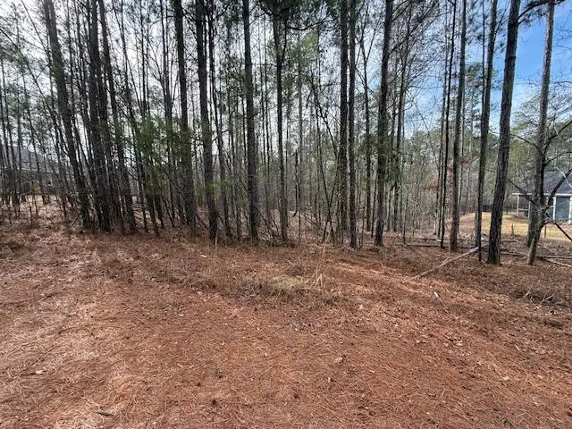 14-33 Kristen Lane, McCormick, SC 29835 - #2