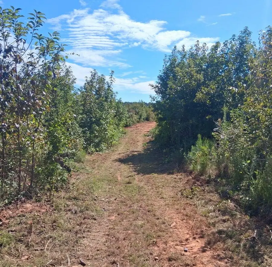 3a Bowie Road, Troy, SC 29848 - Image #3