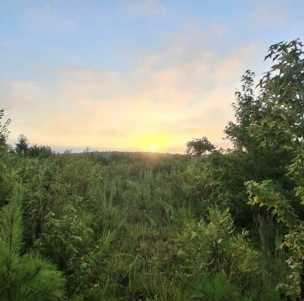 3b Bowie Road, Troy, SC 29848 - Image #1