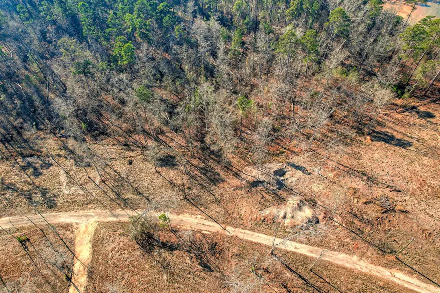 440 Abundance Way, Appling, GA 30802 - Image #3