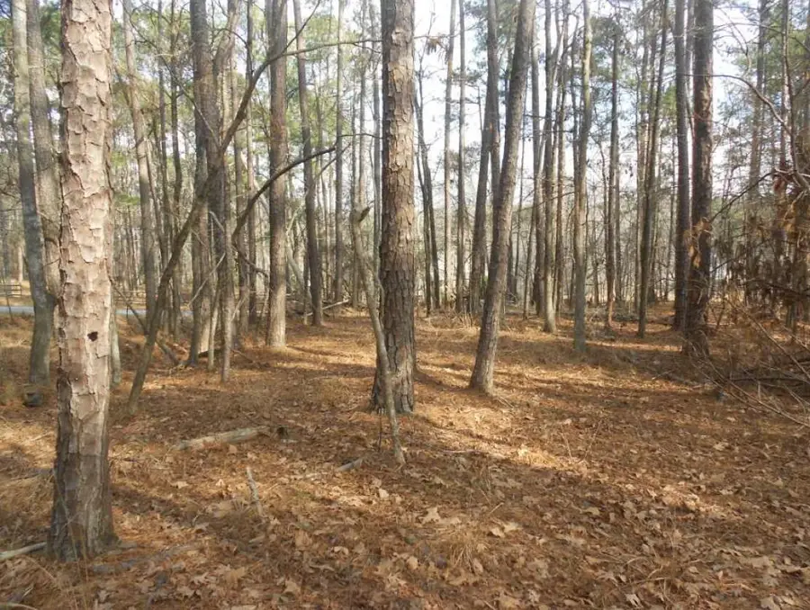 5016 Autumn Trail, Grovetown, GA 30813 - #2