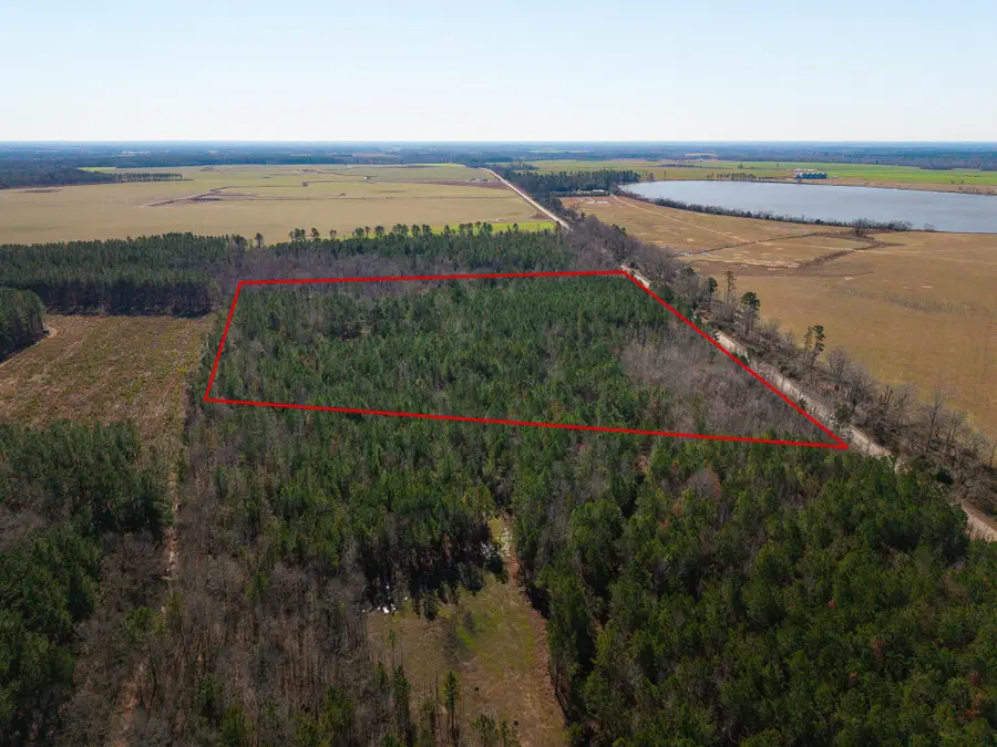 00 Ga-305, Midville, GA 30441 - Image #3