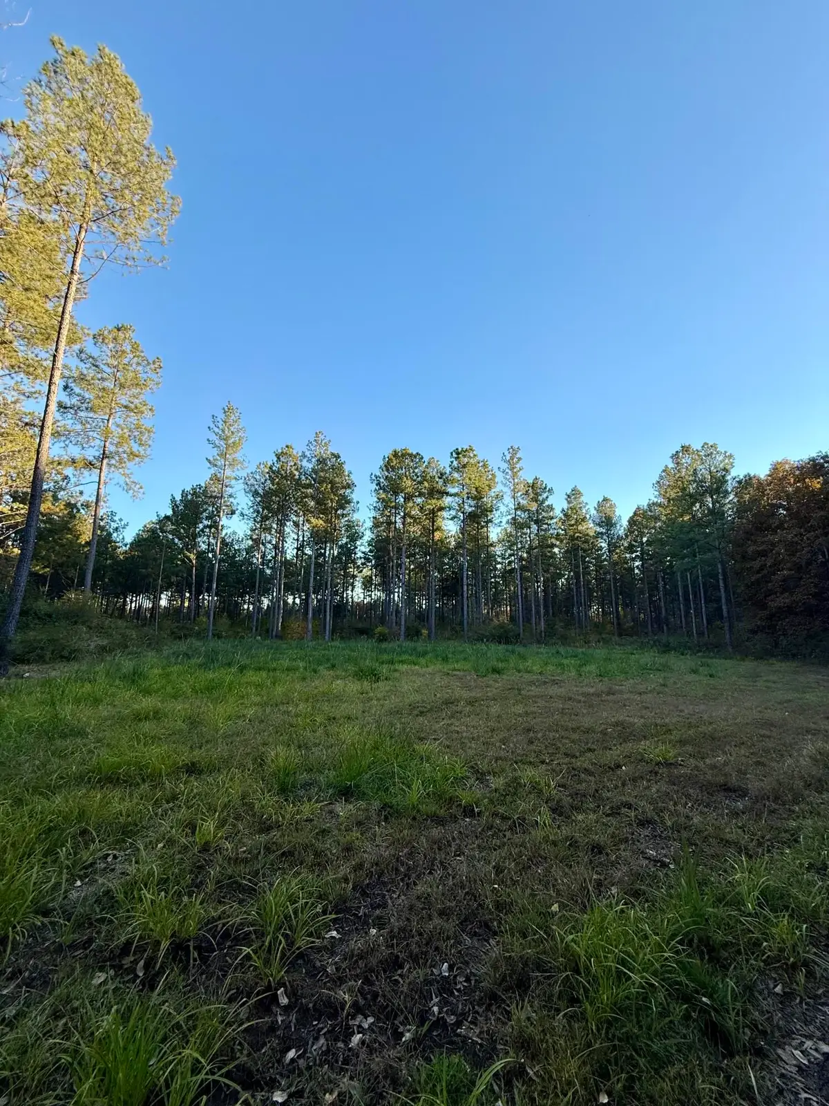 0 Christian Rd Road, McCormick, SC 29835 - #1