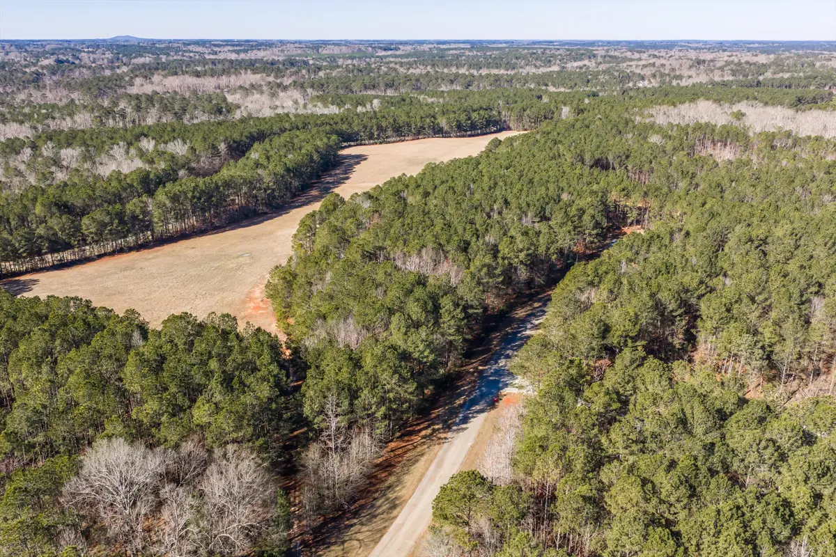 1020 Fleming Lake Court, Lincolnton, GA 30817 - #1