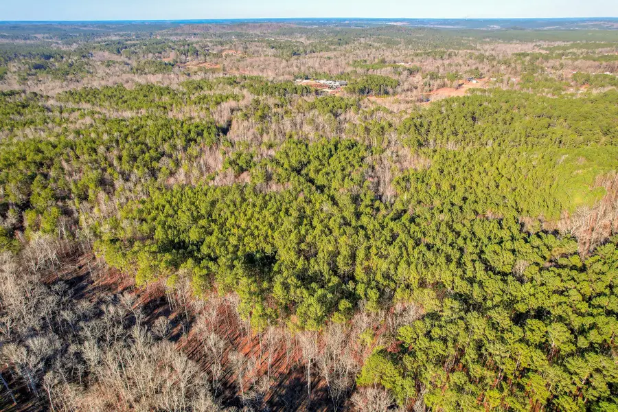 5485 Tubman Road, Appling, GA 30802 - #2