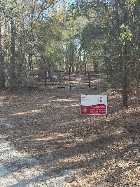 0 Starfish Lane, Lyons, GA 30436 - Image #2