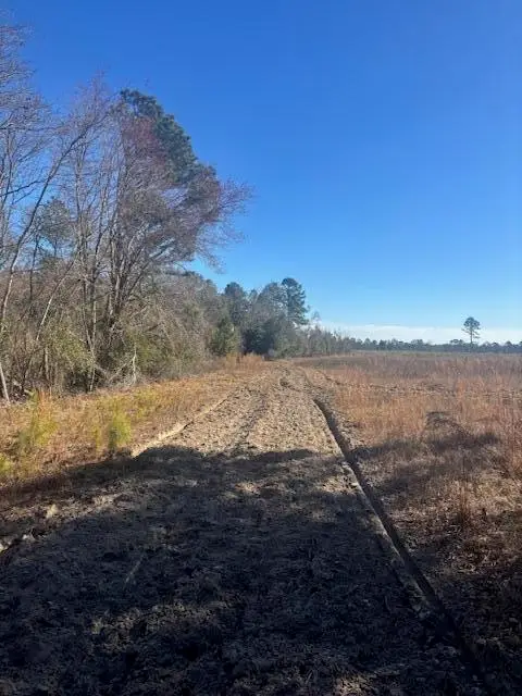 0 Starfish Lane, Lyons, GA 30436 - Image #3