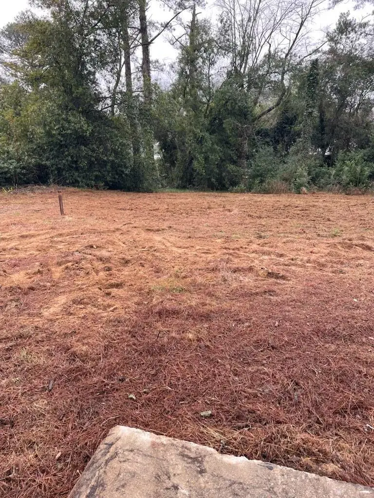 147 Monterey Avenue, North Augusta, SC 29841 - #3