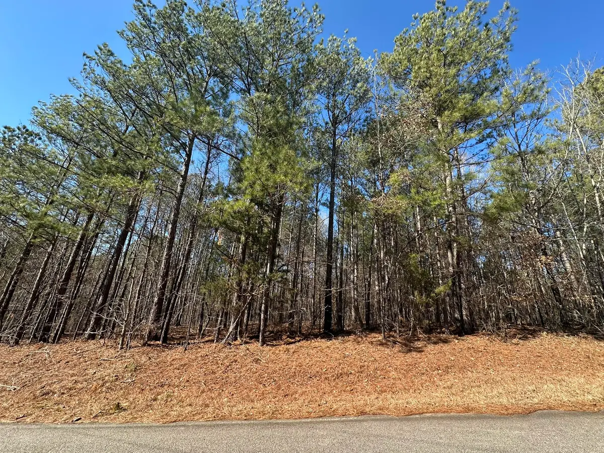 Lot 31 Willow Way, Lincolnton, GA 30817 - Image #1