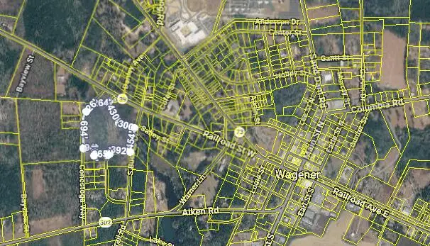 0 S Busbee South Drive, Wagener, SC 29164 - #3