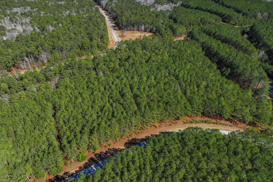 1277 Rogers Road, Tignall, GA 30668 - #2