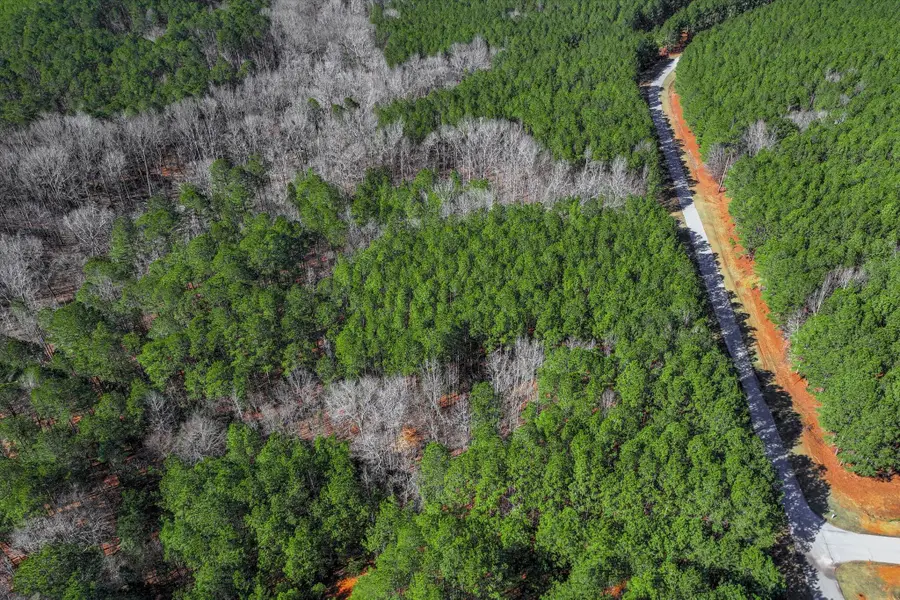 1148 Hardwood Drive, Tignall, GA 30668 - #2