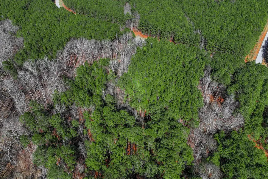 1154 Hardwood Drive, Tignall, GA 30668 - #2