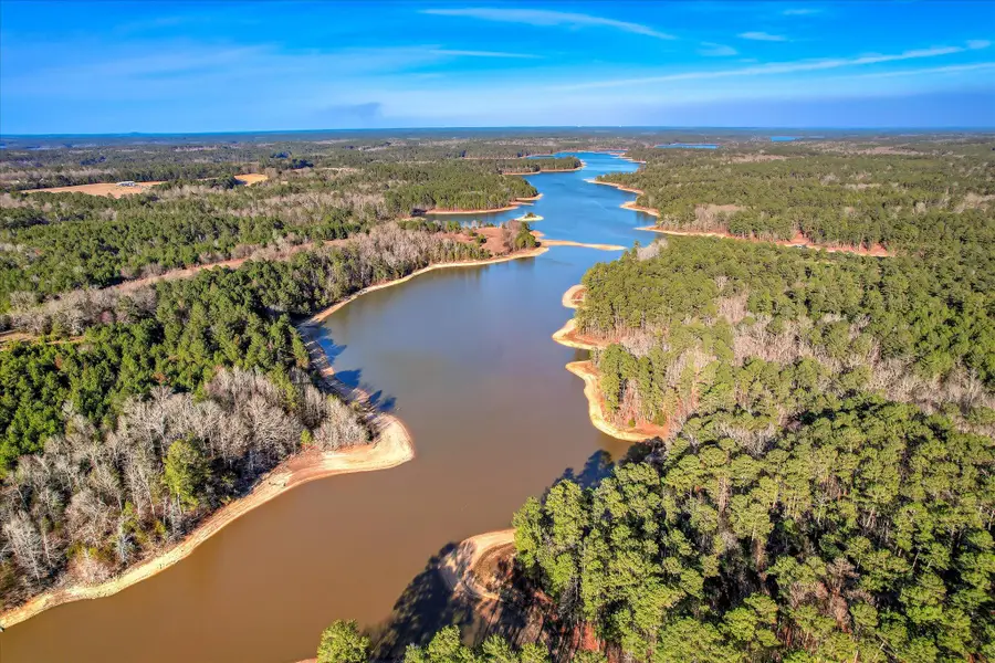 1138 Ben Lane, Lincolnton, GA 30817 - #2