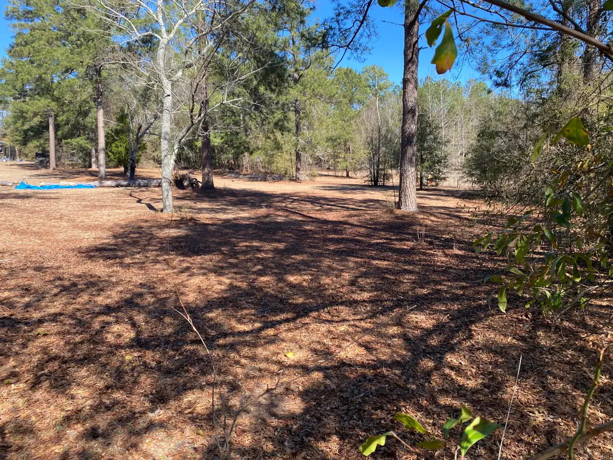 1621 N Pine Ridge Drive, Hephzibah, GA 30815 - #1