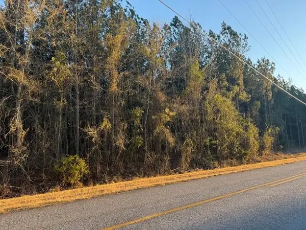 1398 Mauldin Road, Warrenton, GA 30828