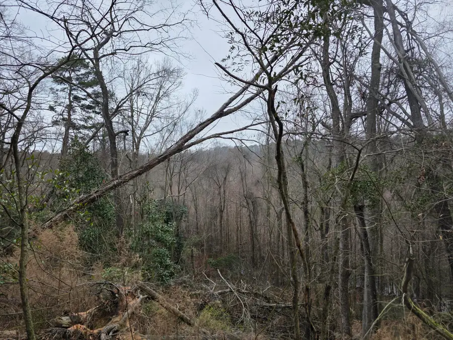 Tbd Atomic Road, Beech Island, SC 29842 - #2