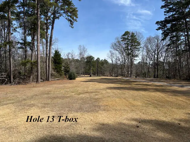 3021 Fairway Drive, Thomson, GA 30824 - #3