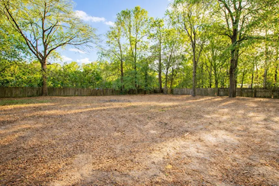 1020 Hephzibah Mcbean Road, Hephzibah, GA 30815 - #3