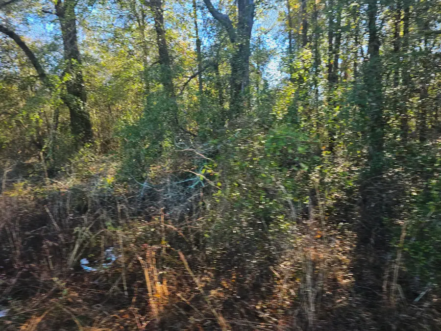 01 River Road, Waynesboro, GA 30830 - #2