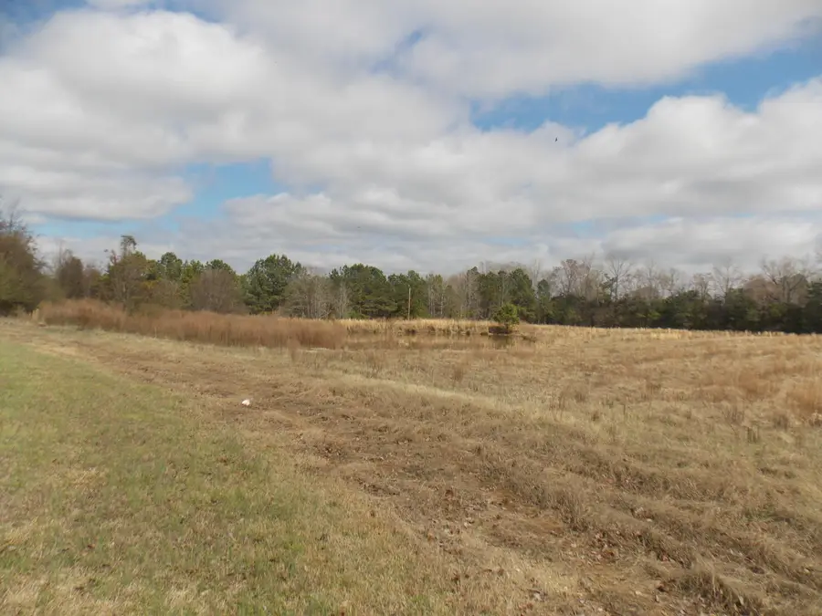 4232 Double Branches Road, Lincolnton, GA 30817 - #3