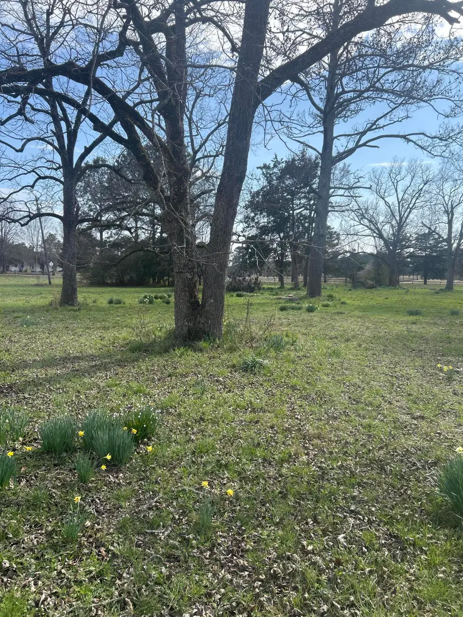 1046 Holloway Road, Lincolnton, GA 30817 - #2