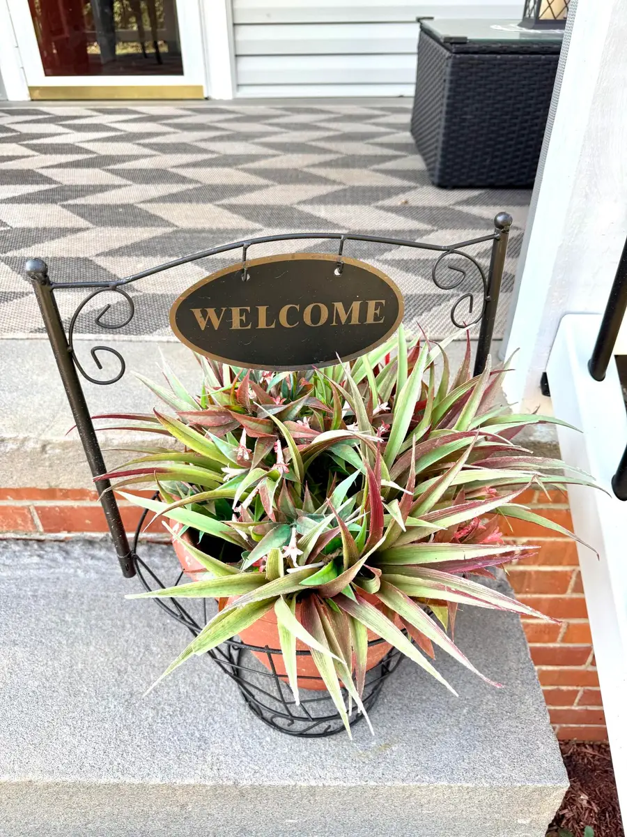 543 Jeter Street, Edgefield, SC 29824 - #2