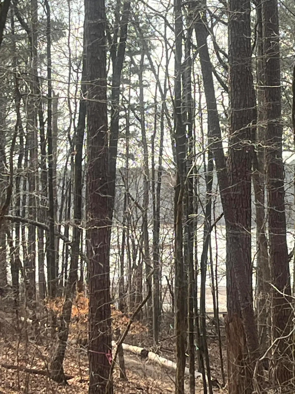 1249 Lakeshore Estates Drive, Lincolnton, GA 30817 - #1