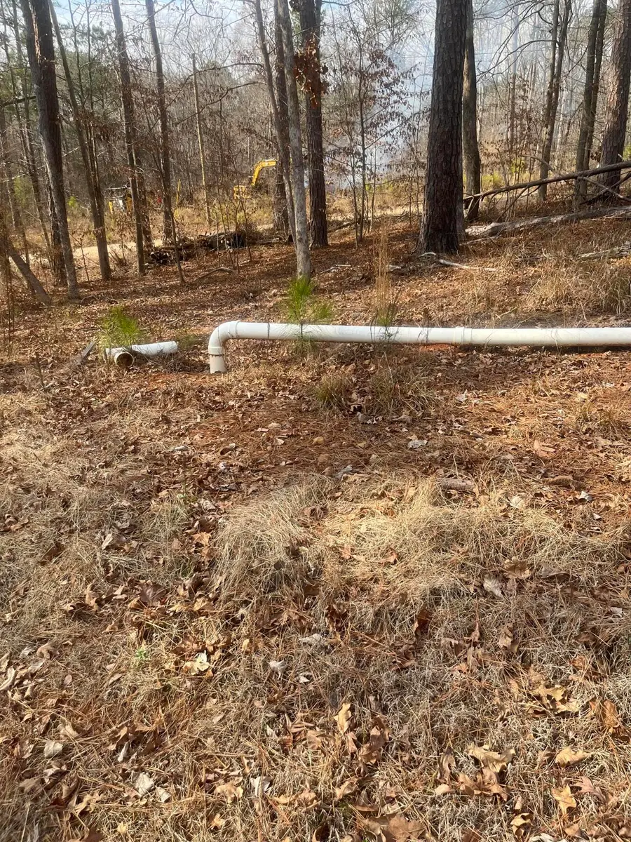 1249 Lakeshore Estates Drive, Lincolnton, GA 30817 - #3