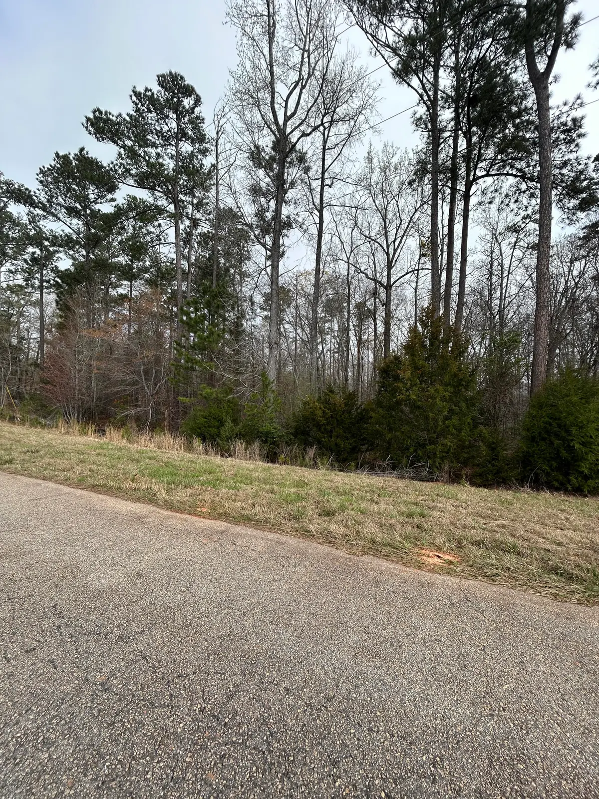 5.47ac Nathania Farm Road, Lincolnton, GA 30817 - #1