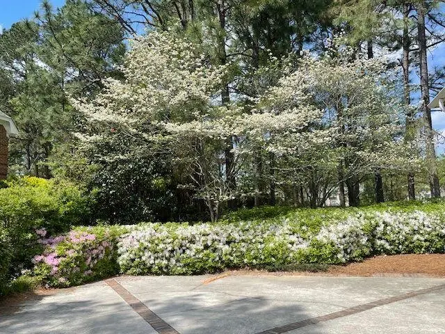 913 Holley Lake Road, Aiken, SC 29803 - #2