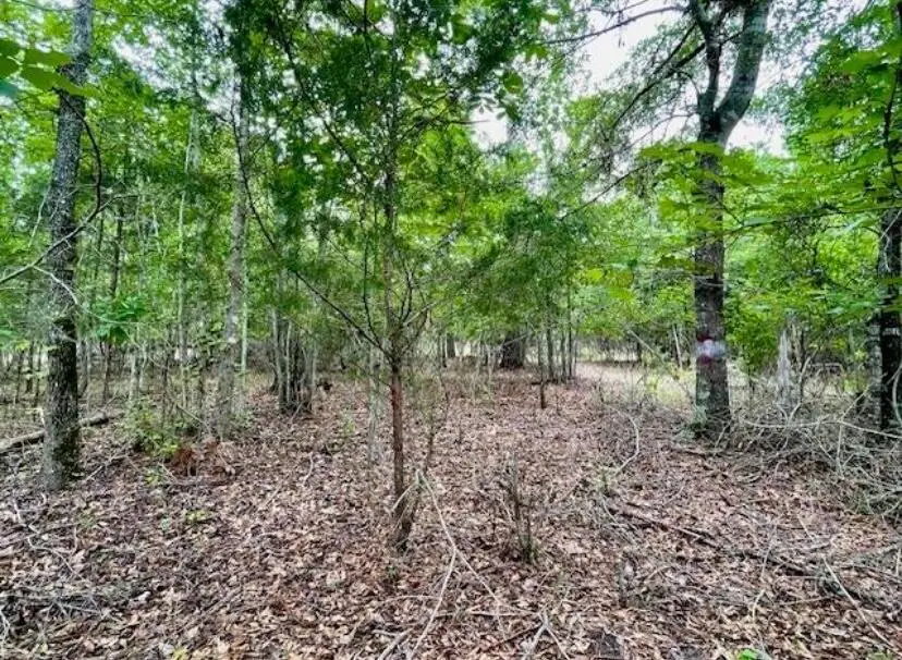 0 Lot 3 Indian Road, Lincolnton, GA 30817 - #3