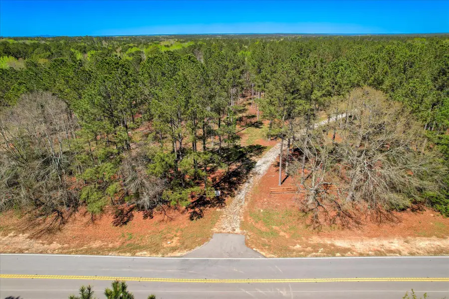 6355 Cobbham Road, Appling, GA 30802 - #3