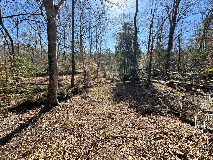 4788 Chamberlain S Ferry Road, Lincolnton, GA 30817 - #3